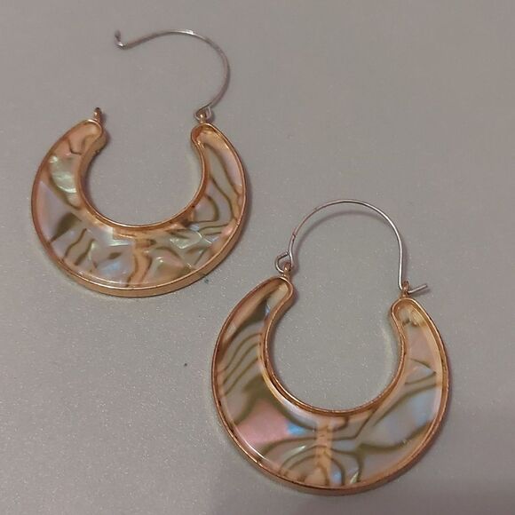 Jewelry - Faux Tortoise Resin Hoop Earrings Gold Tone